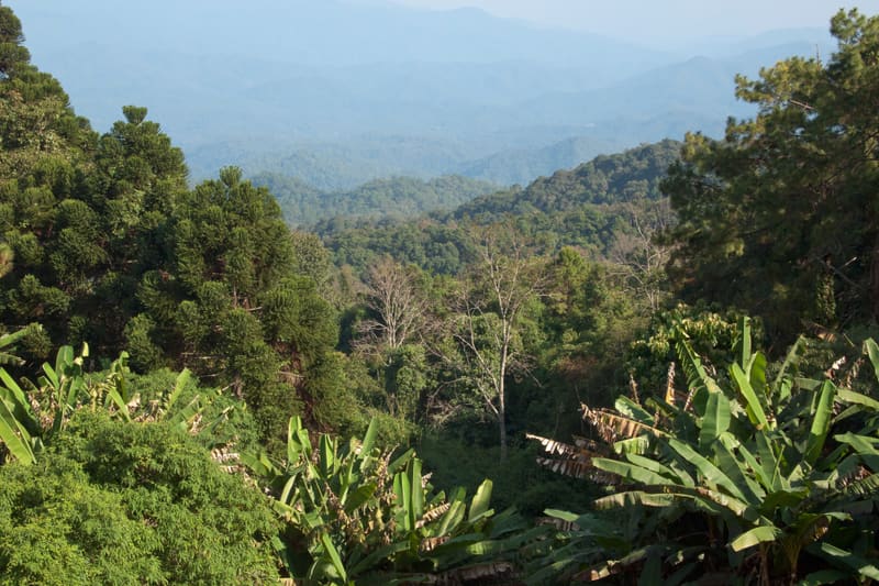 Chiang Mai and the Northern Hills: A Practical Guide
