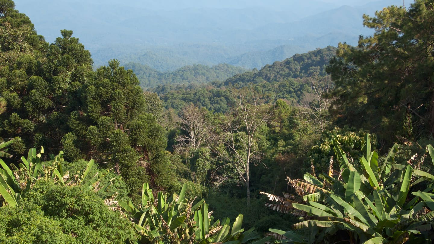 Chiang Mai and the Northern Hills: A Practical Guide