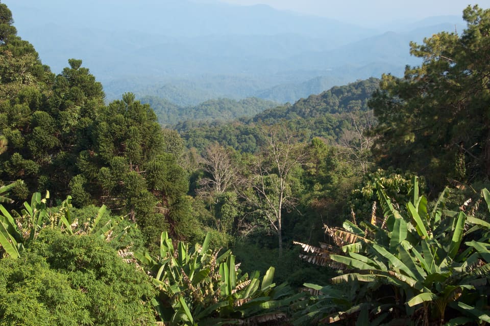 Chiang Mai and the Northern Hills