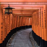 Kyoto: the Temples, the Geisha and the Hills, Japan