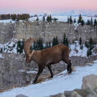 The Swiss Alps: Jungfrau, Bernese Oberland and Zermatt, Switzerland