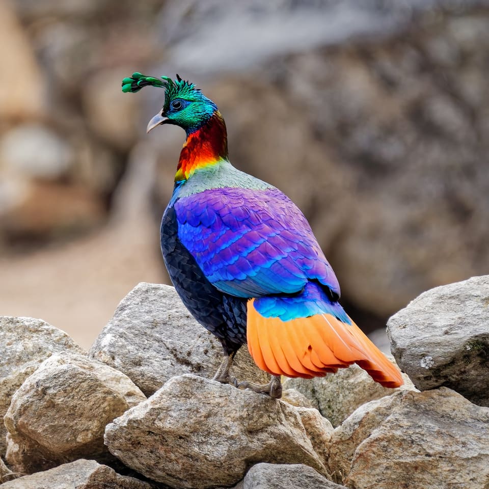 Sagarmatha National Park