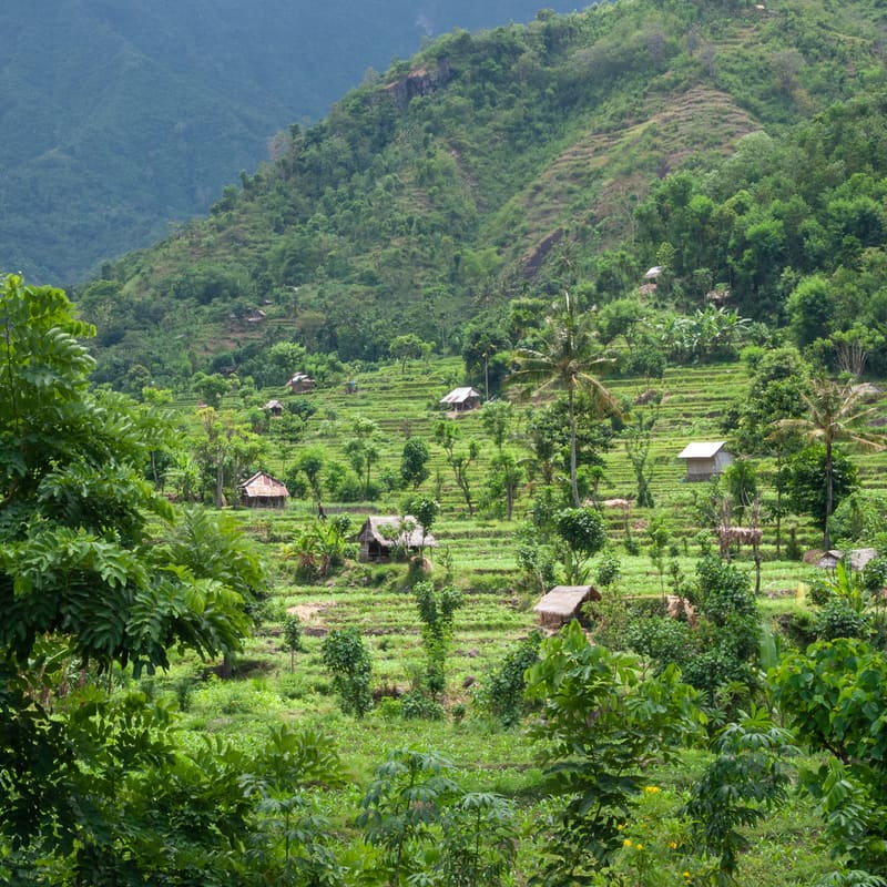 Bali: Ubud, the Temples and the Sea, Indonesia