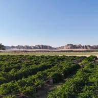 AlUla and the Edge of the World, Saudi Arabia