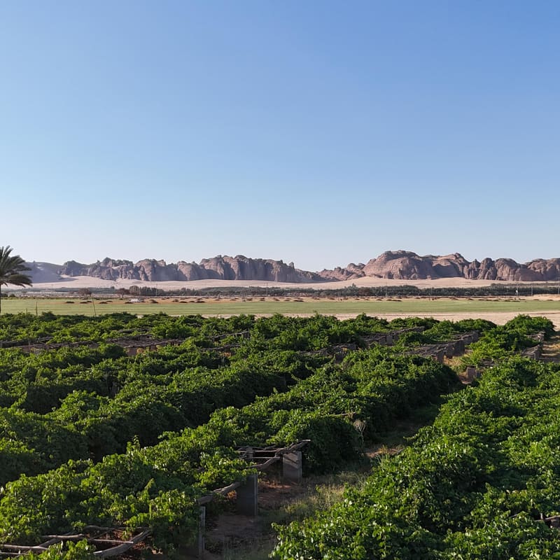 AlUla and the Edge of the World, Saudi Arabia