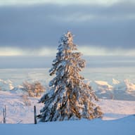 The Swiss Alps: Jungfrau, Bernese Oberland and Zermatt, Switzerland