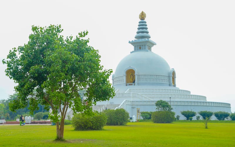 The World Peace Pagoda