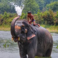 Chitwan National Park, Nepal