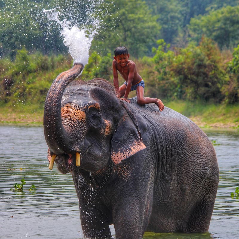 Chitwan National Park, Nepal