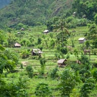 Bali: Ubud, the Temples and the Sea, Indonesia