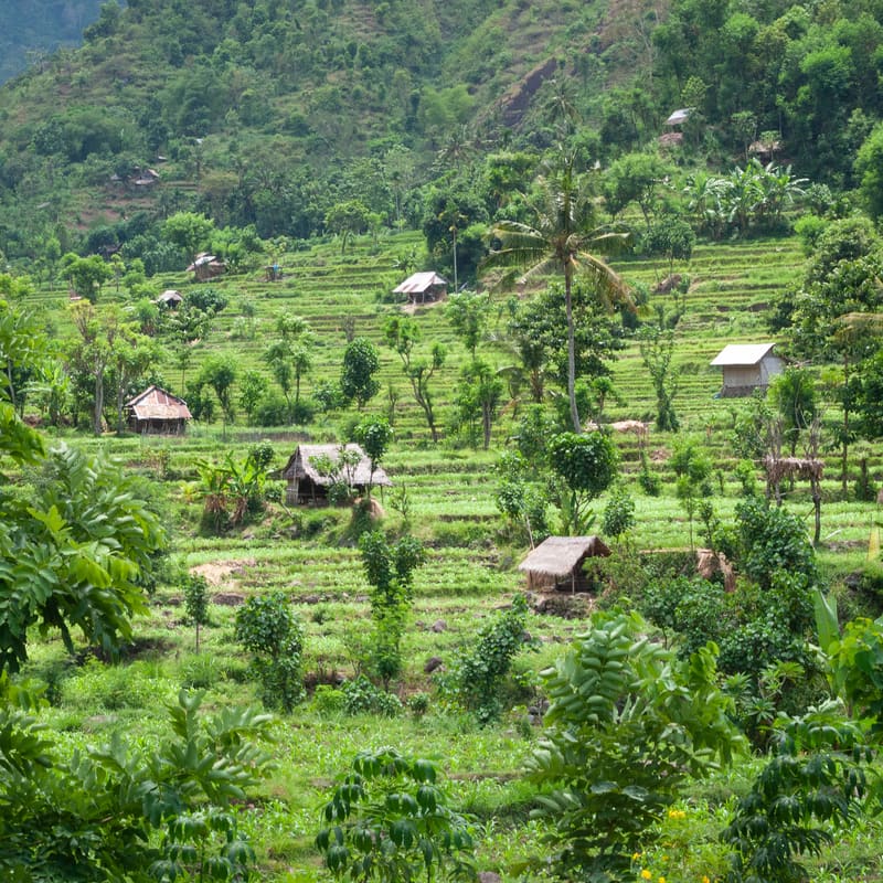 Bali: Ubud, the Temples and the Sea, Indonesia