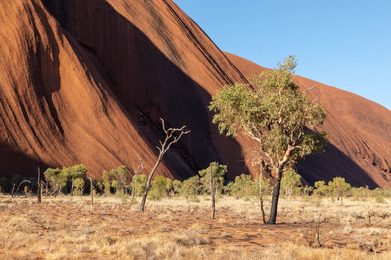 Uluru, Kata Tjuta and the Red Centre: A Practical Guide to the Northern Territory