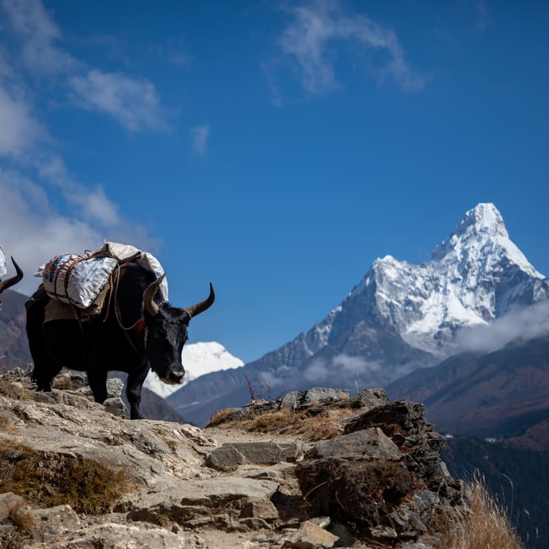 Sagarmatha National Park, Nepal