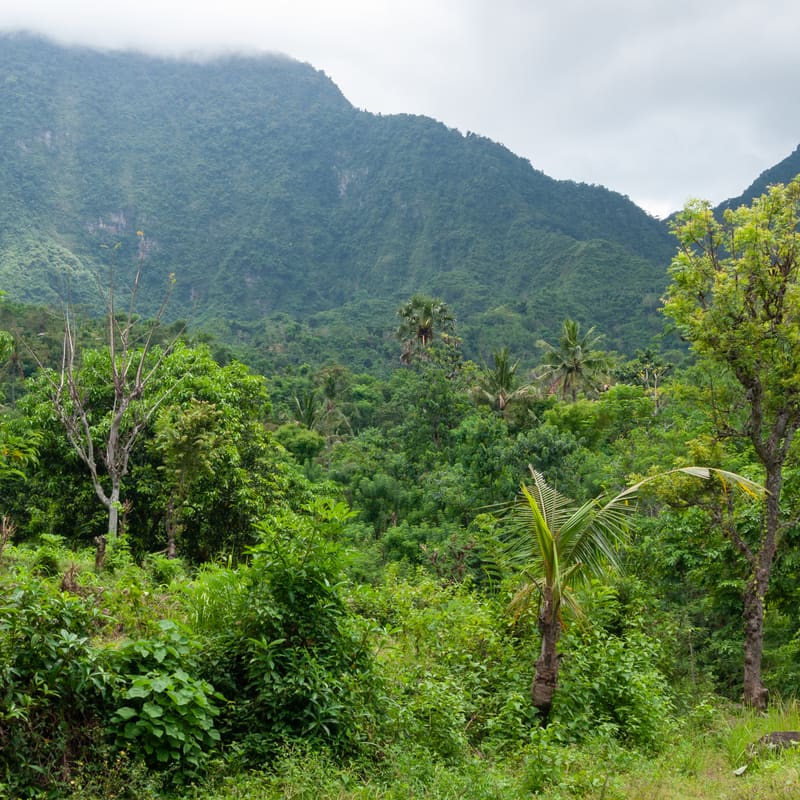 Bali: Ubud, the Temples and the Sea, Indonesia