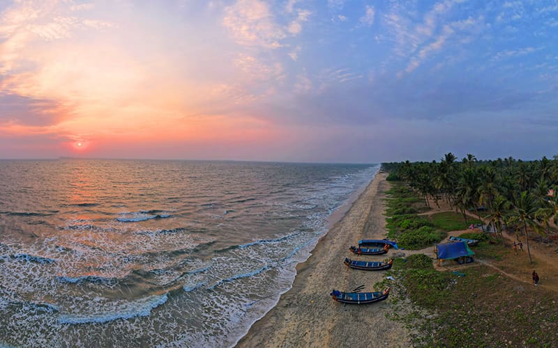 Kerala: the Backwaters and the Hill Stations