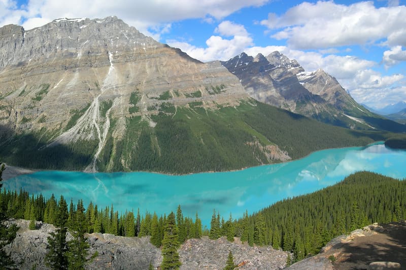 Banff and the Canadian Rockies: a practical guide from Lake Louise to the Icefields Parkway