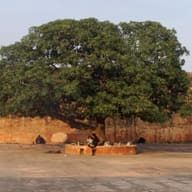 Jaipur and the Forts of Rajasthan, India