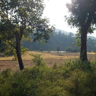 Chiang Mai and the Northern Hills, Thailand