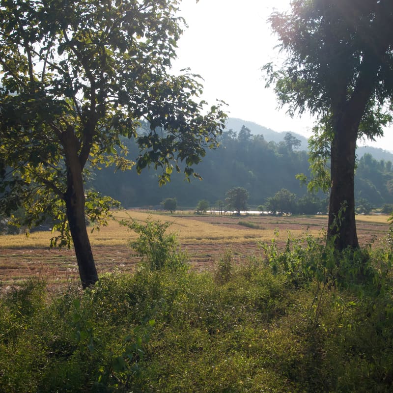 Chiang Mai and the Northern Hills, Thailand