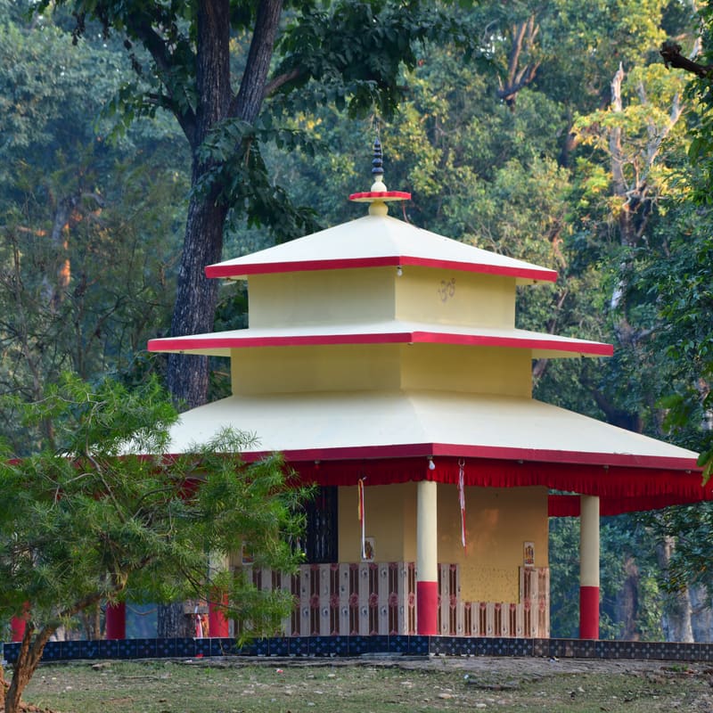 Bardia and the Terai Wildlife, Nepal