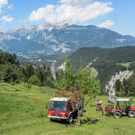 The Swiss Alps: Jungfrau, Bernese Oberland and Zermatt, Switzerland